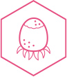 A graphic representation of electric daisy extract, a component of Botanical Wrinkle-Limiting Technology